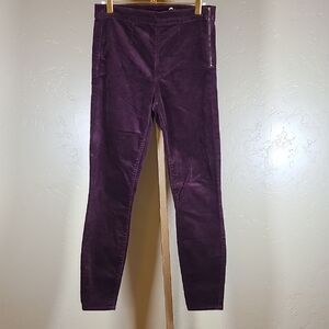Gap Women's Purple Side Zip Leggings 27r